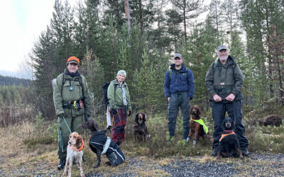 Føring av hund på skog 26. og 27.10