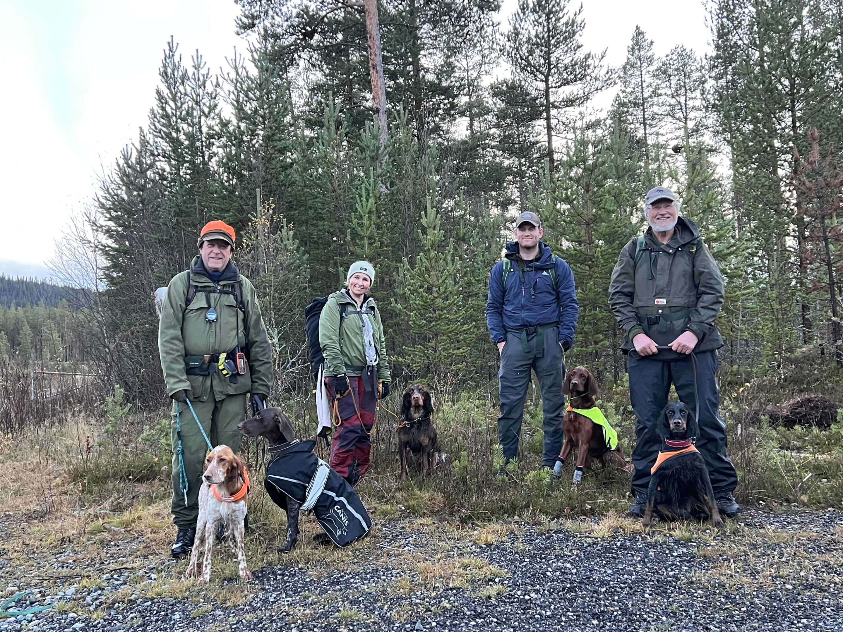 Kurs Føring av hund på skog