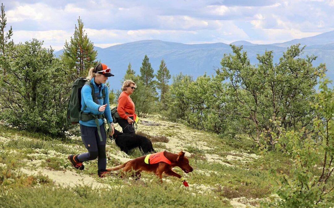 Treningsterrenget Østkjølen på Alvdal stenger 5. september
