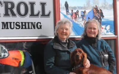 Ringtrening og veiledning i klipp & pelsstell