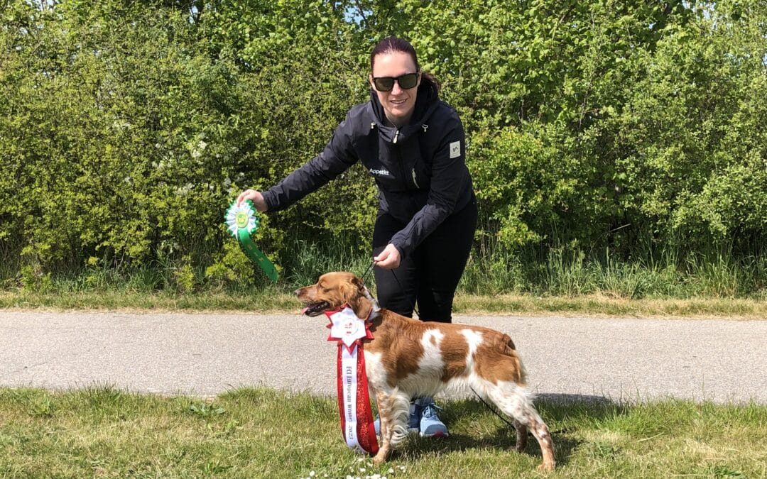 Utstillingstrening 9. og 17. juli