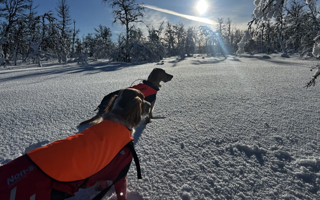 Gratis treningssamling på Nonsvola lørdag 28. feb 2026