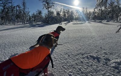 Gratis treningssamling på Nonsvola lørdag 28. feb 2026