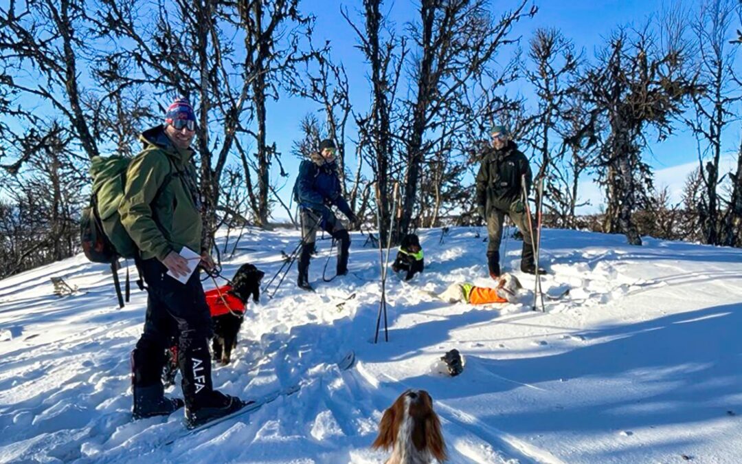 FULLT! men sett deg gjerne på venteliste til treningssamling 11. februar i Vingelen!