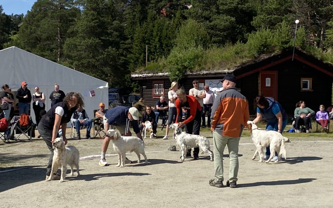 Utstillingstrening 17. juli på Strømsås gård