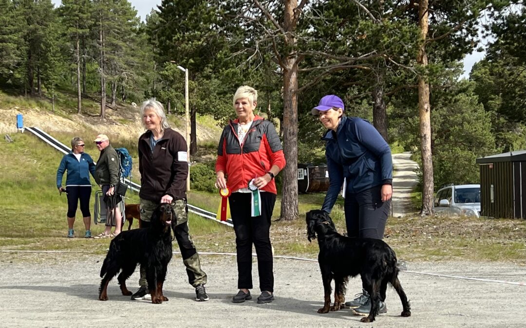 Utstilling på Savalen 2023