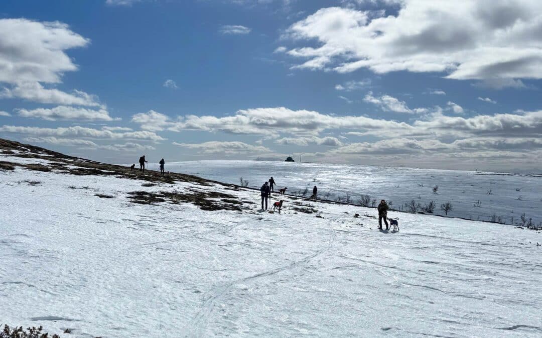 Bjørn Plassgårds minneløp 10. – 12. april 2026