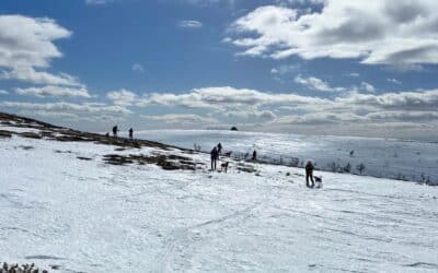 Bjørn Plassgårds minneløp 10. – 12. april 2026