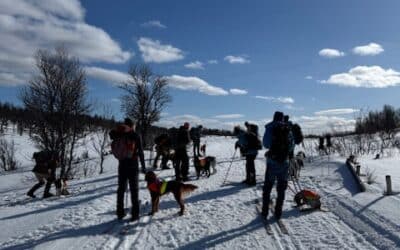 Anleggsparti på lørdag under Bjørn Plassgårds minneløp