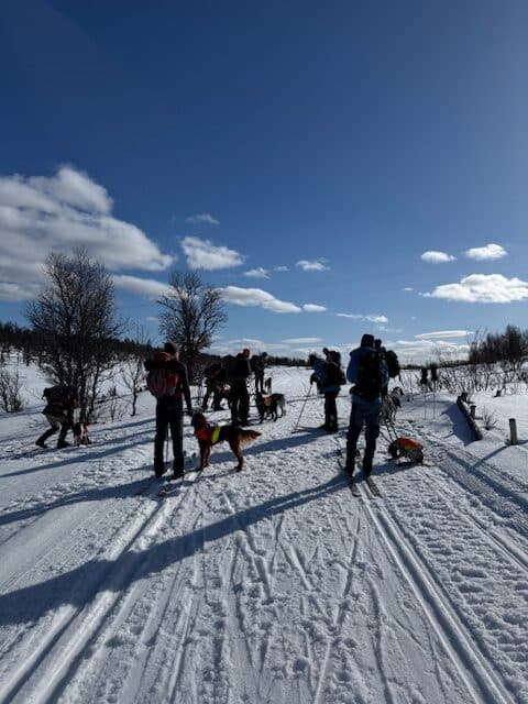 Anleggsparti på lørdag under Bjørn Plassgårds minneløp